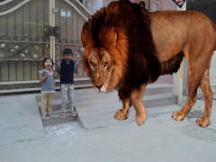 Animals Camera Frames Screenshot 1