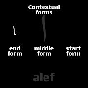 برنامه‌نما Persian Flashcards عکس از صفحه