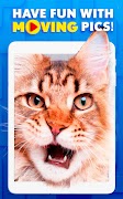 Video Puzzles - Magic Logic Pu screenshot 6