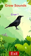 Real Crow Sounds 3D Simulator ポスター
