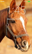 برنامه‌نما Horses Lock Screen عکس از صفحه