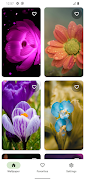 برنامه‌نما Flower Wallpaper عکس از صفحه