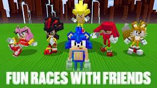 Mod of sonic for MCPE screenshot 1