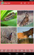 Collage Maker ภาพหน้าจอ 5