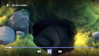 CedNet Play screenshot 6