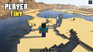 Player Tiny Minecraft Mod اسکرین شاٹ 7