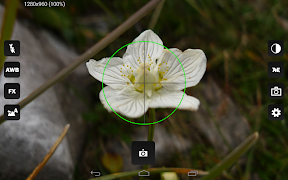 CameraPro ภาพหน้าจอ 3