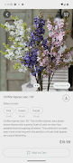 Willow & Birch screenshot 3