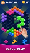 Hexa Block Puzzle poster