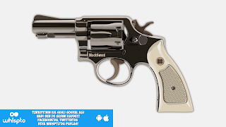 Russian Roulette 截图 1