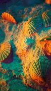 Magic Touch: Sea Shell Live Wa تصوير الشاشة 3