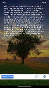 Proverb-A-Day Bible Proverbs. screenshot 5