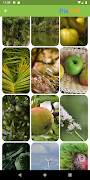 PixWall Wallpapers स्क्रीनशॉट 1