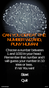 Number Wizard Cartaz