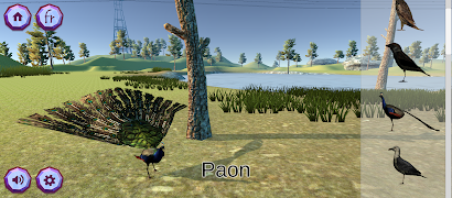 Zookidi-3D スクリーンショット 7