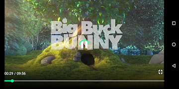 YSA Player Screenshot 2