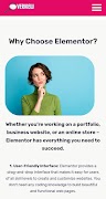 Elementor Overview স্ক্রিনশট 1