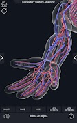 Circulatory System Anatomy ảnh chụp màn hình 4