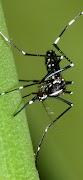 Biological Microscopes imagem de tela 2