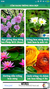 Kỹ Thuật Trồng Hoa Đẹp Sắc Màu screenshot 2