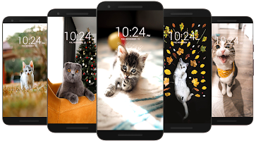 Cat Wallpaper HD captura de pantalla 2