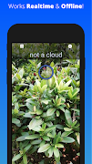 Detect Clouds - powered by AI captura de pantalla 1