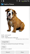 Hack a Picture screenshot 4
