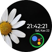 SEOR | FLOWERS screenshot 5