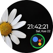SEOR | FLOWERS screenshot 5