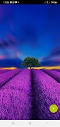 10000 Flowers Wallpapers screenshot 5