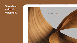 Evermountgroup captura de pantalla 6