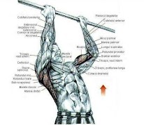 Training Exercise Tutorial 스크린샷 1