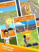 Cricket Boy screenshot 6