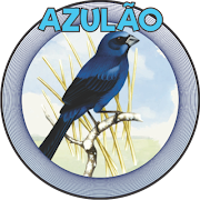 AZULÃO poster