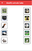 Matching Game:Object & Shapes syot layar 1