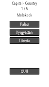 Flag Check screenshot 5