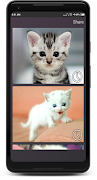 Cat sounds 海报