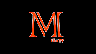 Mega Flix TV screenshot 1
