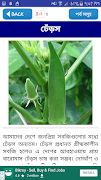 শাক সবজির গুণাবলী ~ vegetable  स्क्रीनशॉट 5