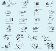 Learn Karate For Beginner 截图 5