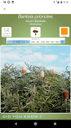 CRFwildflowers screenshot 1