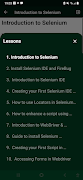 Selenium Learning Master اسکرین شاٹ 2