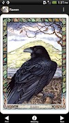 Druid Oracle Cards 海報
