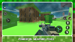 Blocky Shooting Arena 3D Pixel screenshot 5