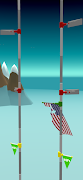 برنامه‌نما Flag Race عکس از صفحه