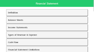 Financial Statement скриншот 4