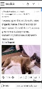 Troddit imagem de tela 6