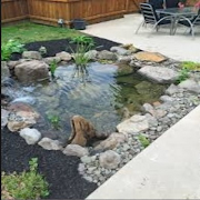 Fish Pond screenshot 3