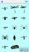 4 Schermata Scherzo di insetti