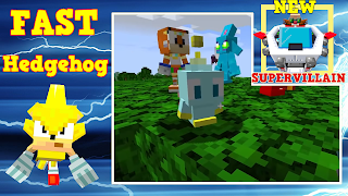 Fast hedgehog mod স্ক্রিনশট 4